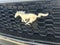 2024 Ford Mustang GT Premium Fastback