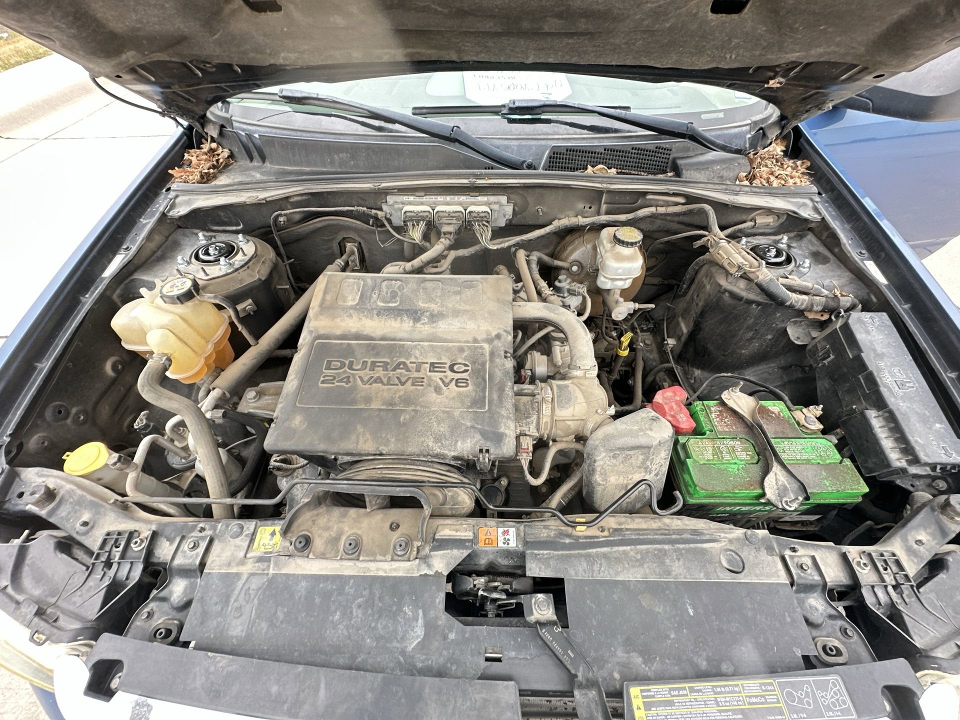 2009 Ford Escape XLT