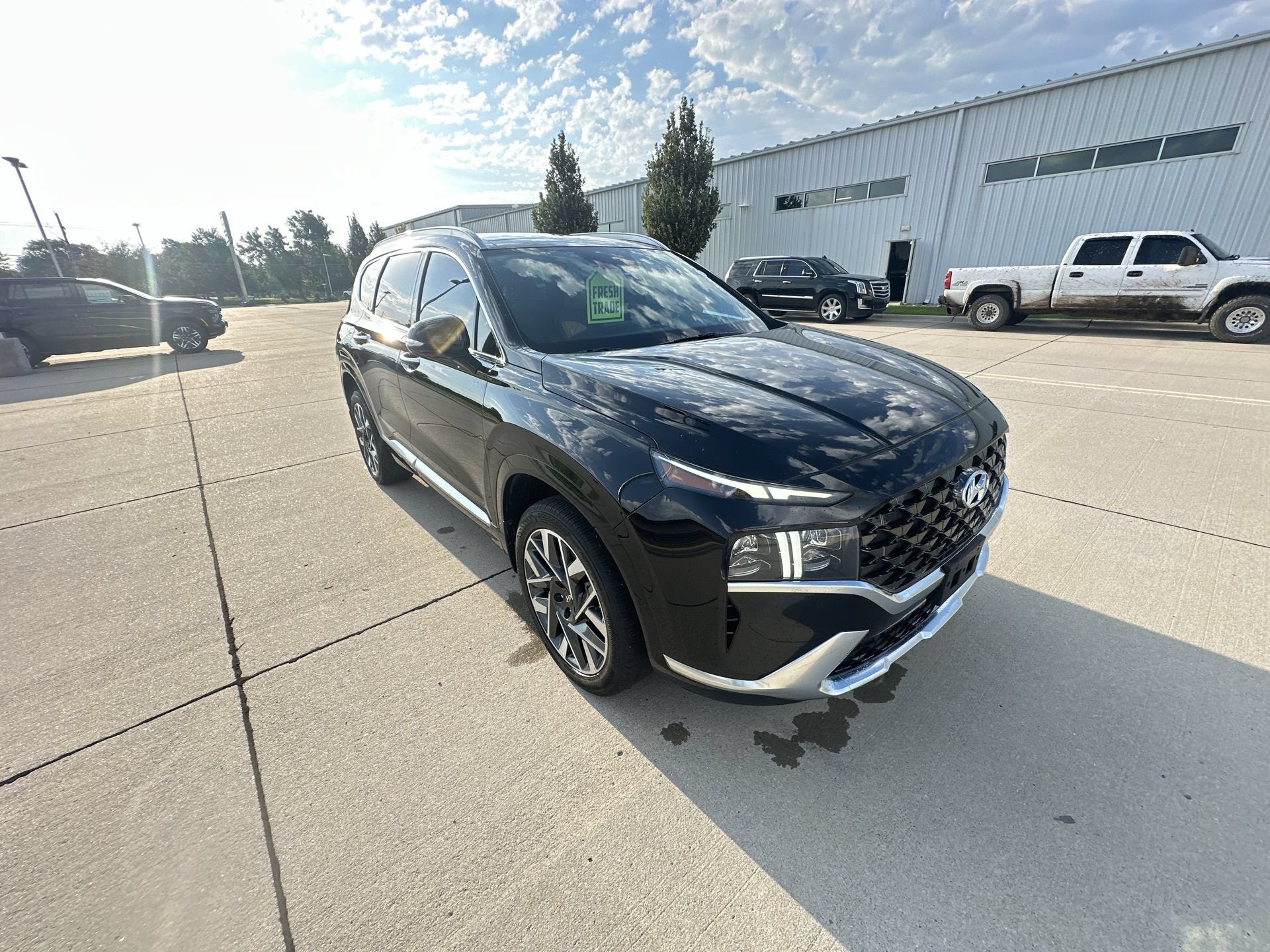 2023 Hyundai Santa Fe Calligraphy